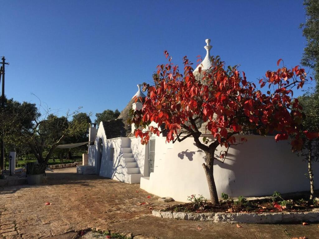 Chateaux Des Trulli ซาน มิเคเล ซาเลนติโน ภายนอก รูปภาพ