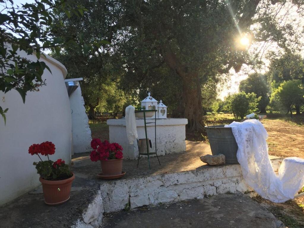 Chateaux Des Trulli ซาน มิเคเล ซาเลนติโน ภายนอก รูปภาพ